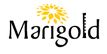 Builder Logo