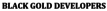 Builder Logo