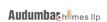 Builder Logo