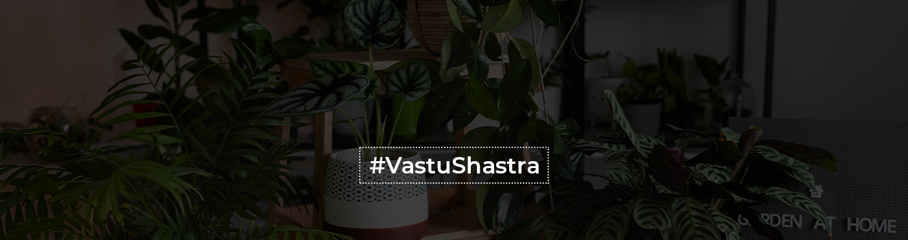 Vastu Shastra for keeping plants at home and in your garden