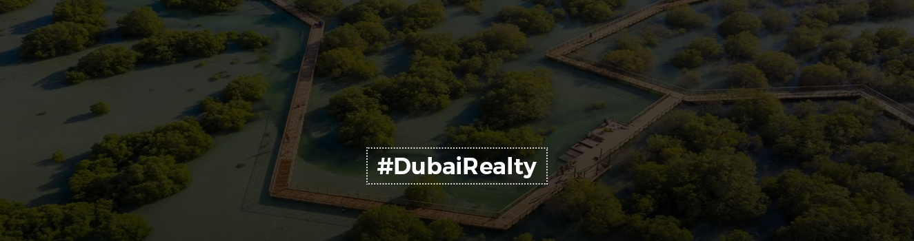 Everything you need to know about the Jubail Mangrove Park in Abu Dhabi