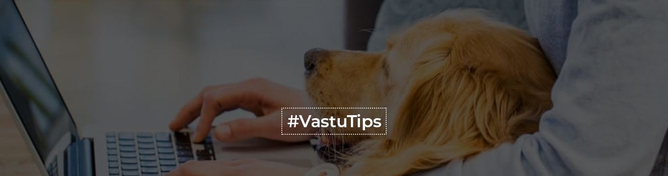 5 Vastu Tips for Pets at Home everyone Should Know