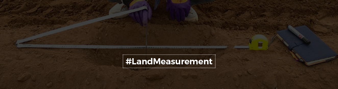 Bigha: All about land area measurement unit