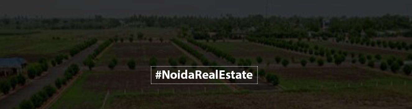 The Noida Municipal Corporation Will Revise Its Land Policy For Collective Homes.