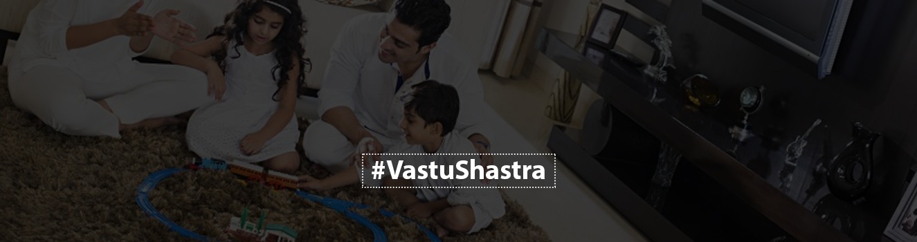 15 Vastu Decor Items for home to bring Positive Energy and Good Luck