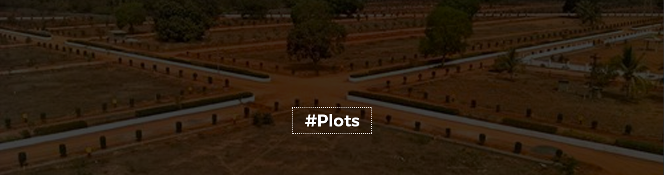 All You Need to Know About Gharbari plots