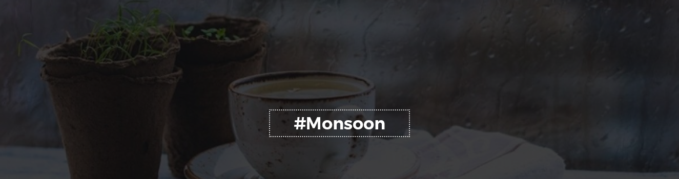 Prepare your home for the monsoon