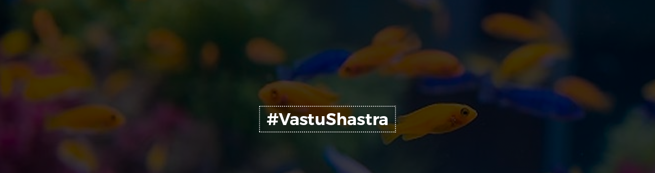 Fish Tank and Vastu Shastra