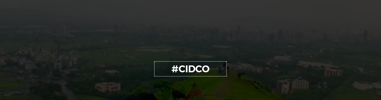 The National Green Tribunal Has Stayed The CIDCO Sale Of A CRZ Site In Navi Mumbai.