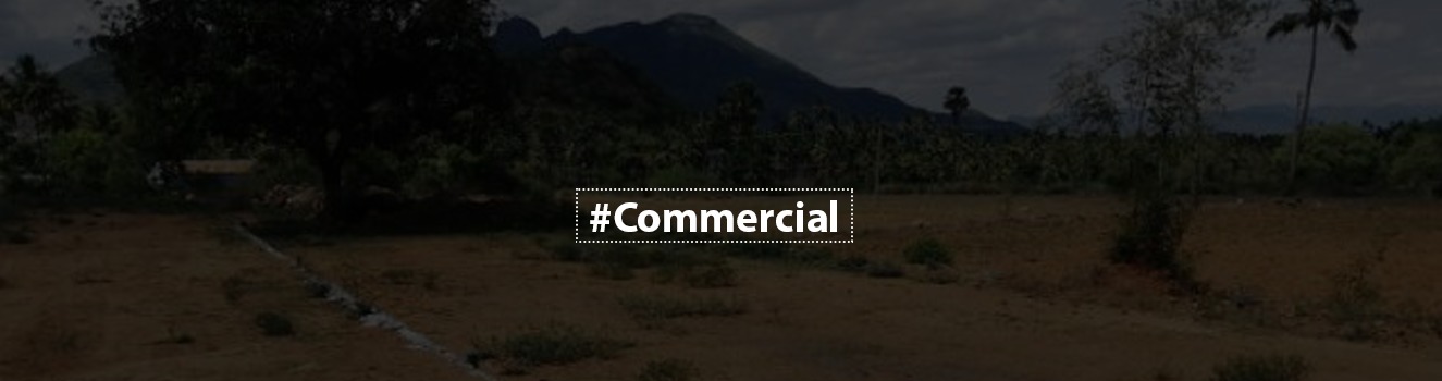 Advice on Purchasing Commercial Land in India