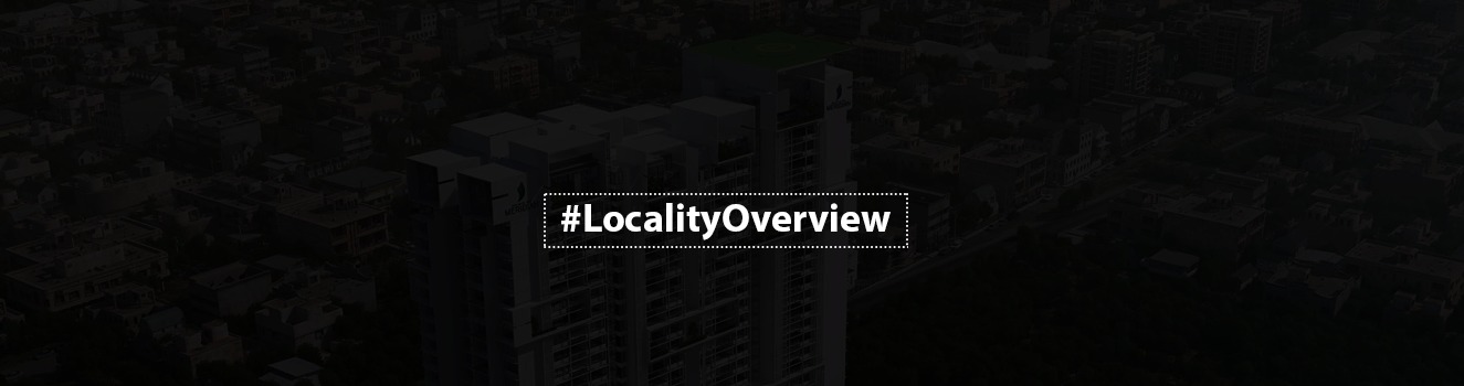 Locality Review - Jayanagar, Bengaluru