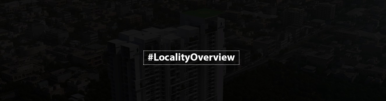 Locality Review - Jayanagar, Bengaluru