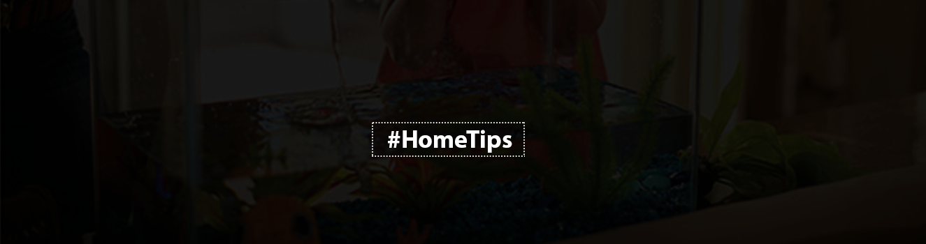 Tips to Keep an Home Aquarium Healthy and Happy!