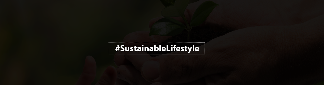 What is a Sustainable Lifestyle? and How to Lead it?