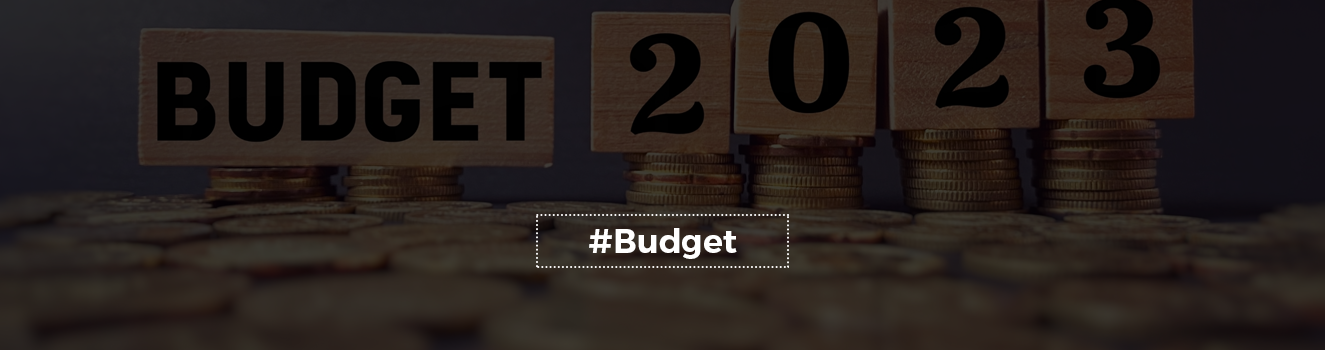 Impact on Real Estate Developers/Builders: Budget 2023-24!