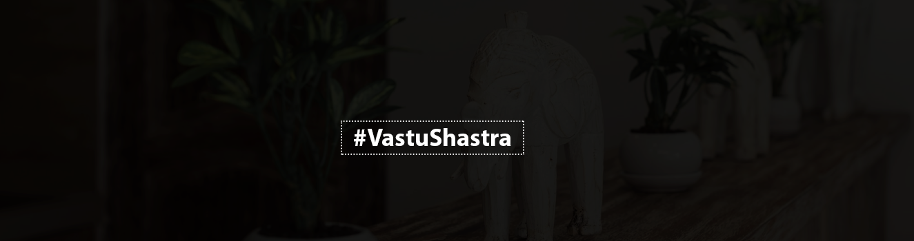 The Power of Elephant Figurines: Vastu Tips for Positive Energy!