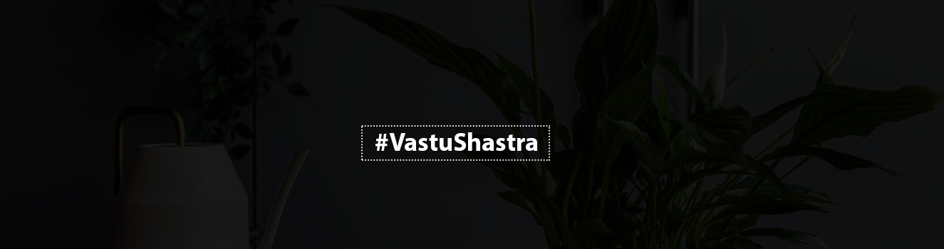 Creating Positive Energy with Peace Lily: Vastu Shastra Tips for Placement and Maintenance!