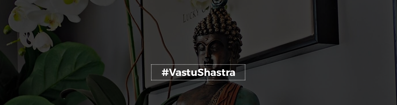The Serene Presence: Vastu Guidelines for a Buddha Statue in Your Living Space!