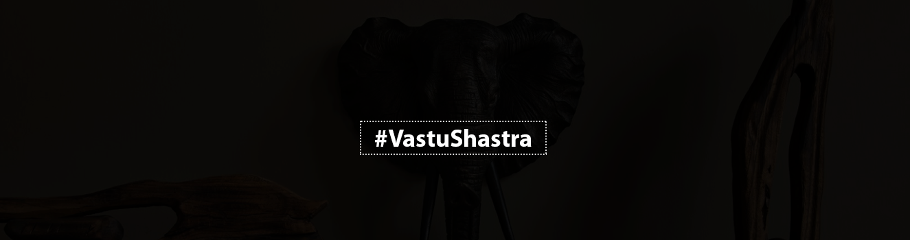 Enhancing Vastu Energy: The Perfect Direction for Your Elephant Showpiece!