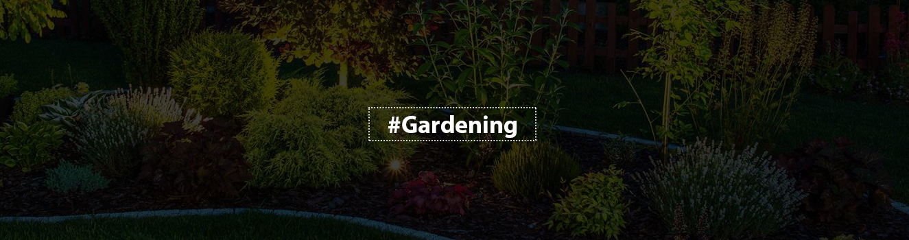 Garden Luminance: Illuminate Your Indoor Green Space with Grow Lights!