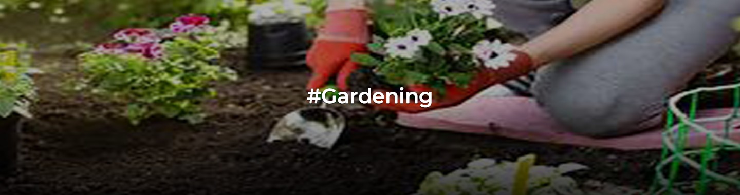 Secrets of the Green Thumb: Smart Gardening Hacks for Easy Plant Care!
