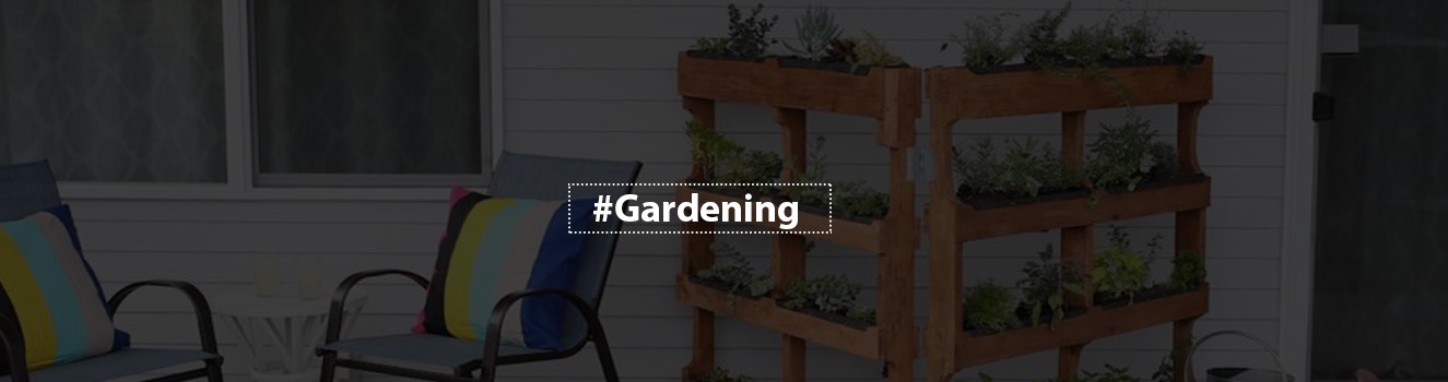 Vertical Marvels: Transforming Tiny Spaces into Lush Gardens!