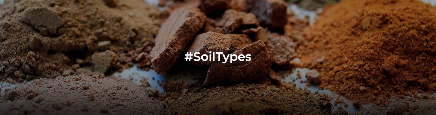 Know Your Soil: A Comprehensive Guide to Different Soil Types!
