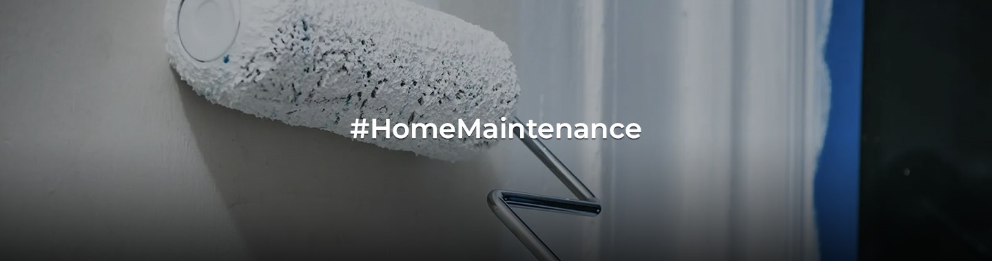 Before the Brush: Exploring Wall Primers and Their Step-by-Step Use!