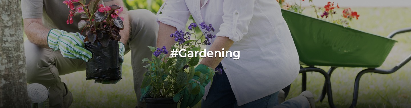 Cultivating Happiness: Therapeutic Gardening's Gifts to Seniors in Retirement!
