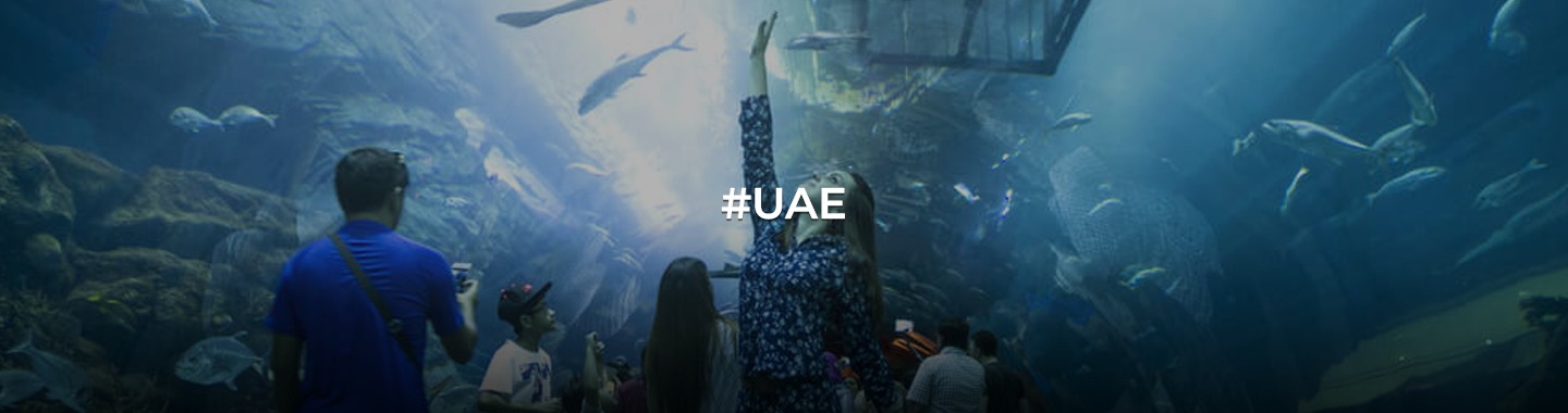 Dubai Delights: Summer Adventures for Every Explorer