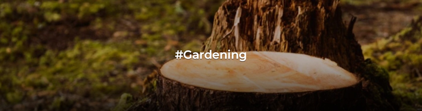 The Ultimate Stump Removal Guide: Making Your Yard Stump-Free!
