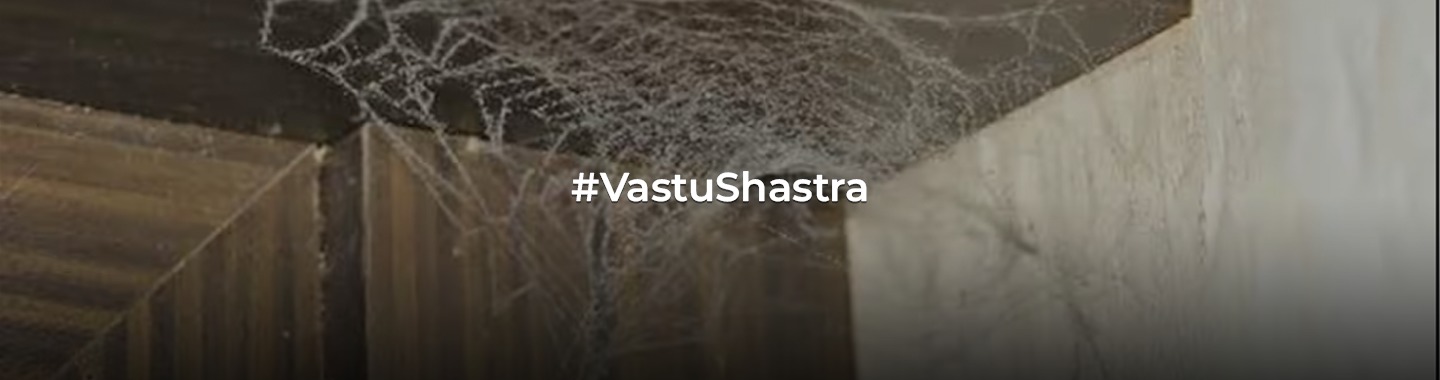 The Web of Belief: Spider Webs and Negativity in Vastu Shastra!