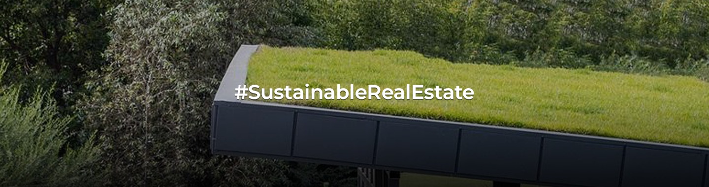 Green Roofs: Nature's Cooling Solution for Urban Environments!