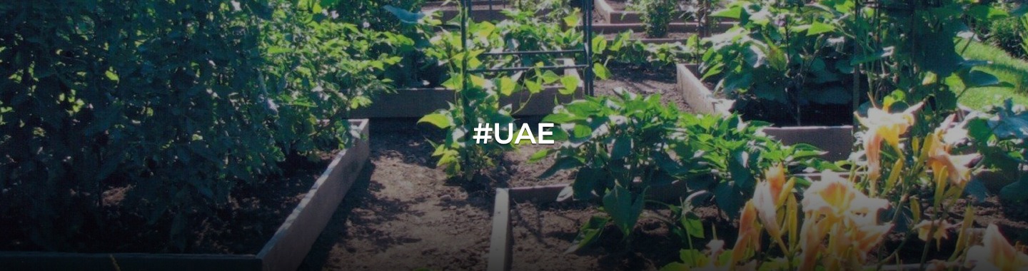 Gardening in the Emirates: Mastering the Art of Seasonal Planting!
