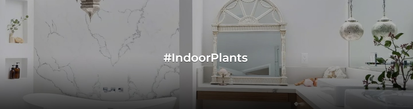 Green Elegance: Transform Your Bathroom with the Best Plant Ideas for a Fresh Aesthetic!